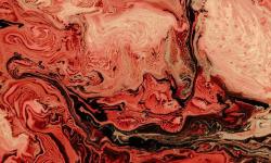 Featured image of post Android native reversing : from Ghidra JNI analysis to Frida hooking