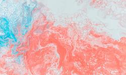 Featured image of post Write-Up Didactic Octo Paddles HackTheBox Apocalypse 2023